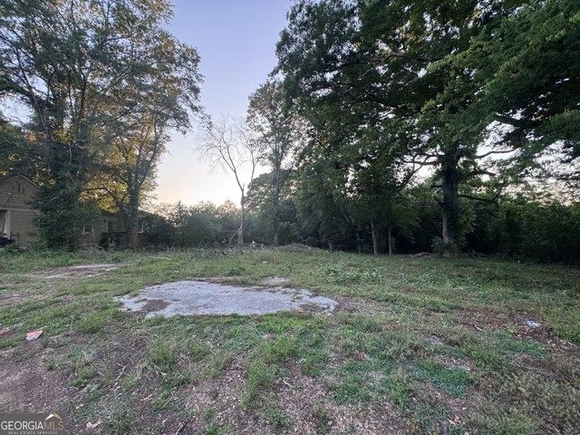Land for sale in Porterdale, Georgia