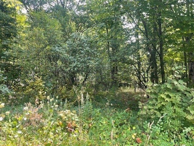 Land for sale in Shirley, Massachusetts