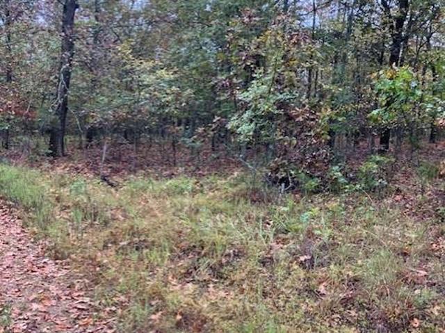 Land for sale in Fredericktown, Missouri