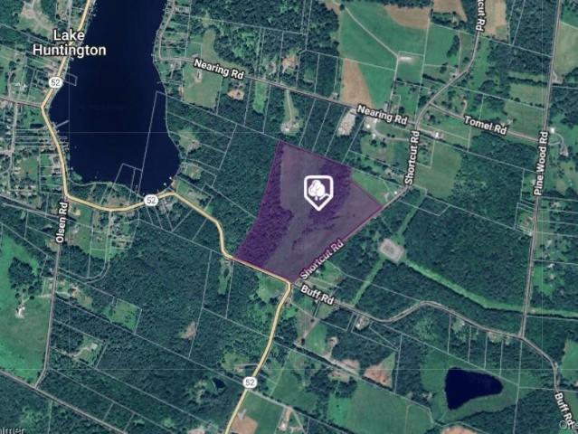 Land for sale in Callicoon, New York