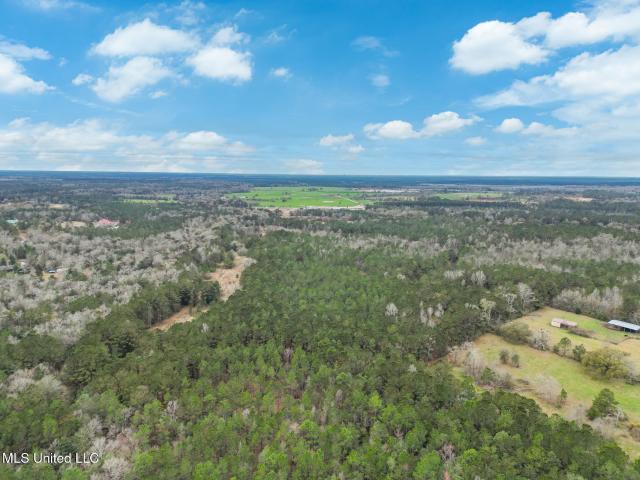 Land for sale in Picayune, Mississippi