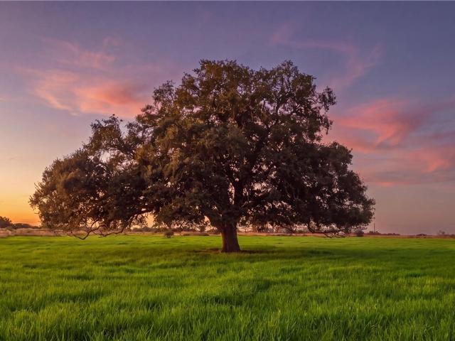 Land for sale in Yoakum, DeWitt County