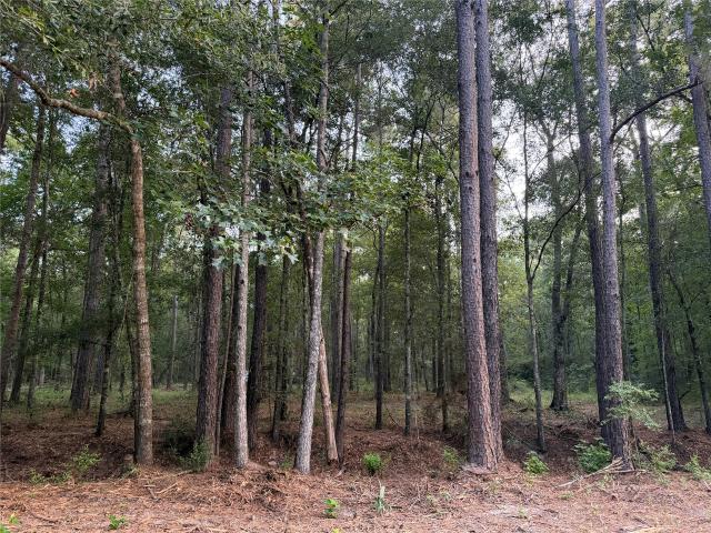 Land for sale in Splendora, Texas