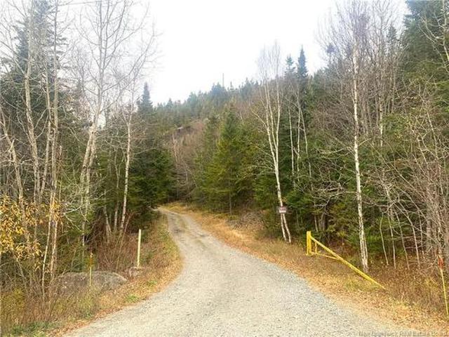 Land for sale in Charlotte, New Brunswick