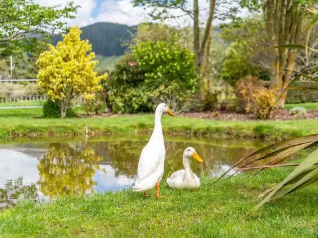 House for sale in Pauatahanui, Wellington