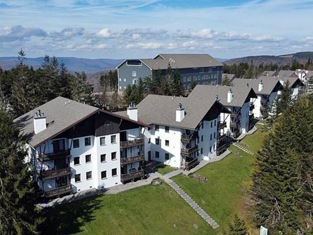 Condo for sale in Snowshoe, West Virginia