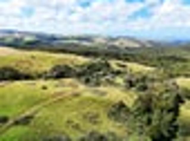 Land for sale in Northland