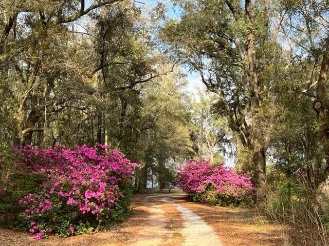Land for sale in Milton, Santa Rosa County