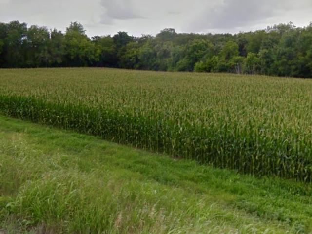 Land for sale in Williamson, Texas