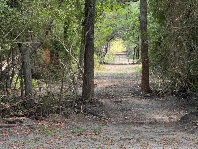 Land for sale in Schulenburg, Texas