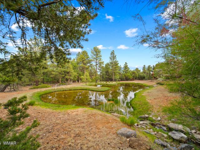 Land for sale in Navajo, Arizona