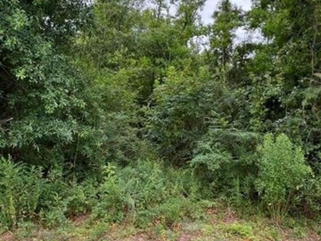 Land for sale in Robert, Louisiana