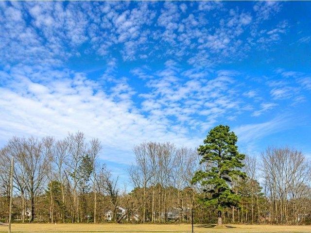 Land for sale in Saint Amant, Louisiana
