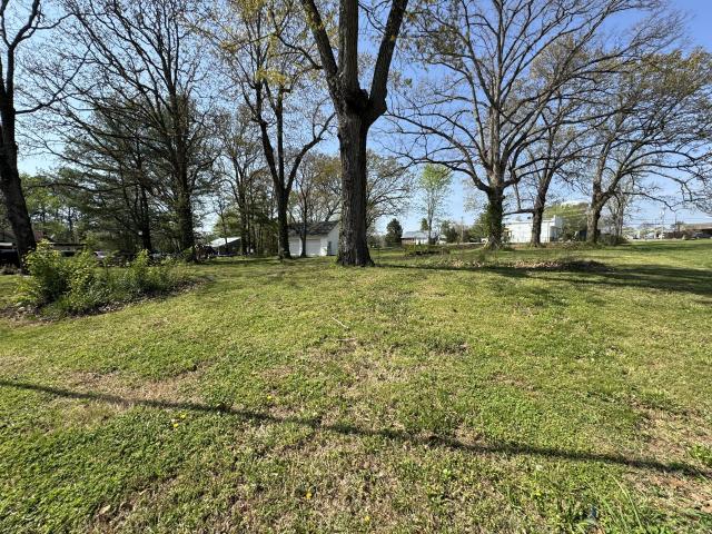 Commercial for sale in White Bluff