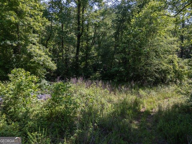 House for sale in Sautee Nacoochee, Georgia