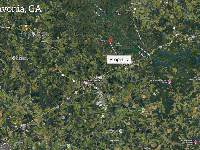 Land for sale in Lavonia, Georgia