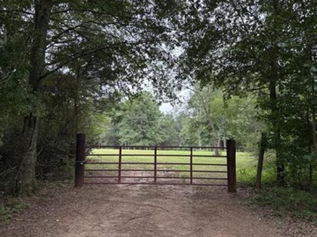 Land for sale in Williamson, Georgia