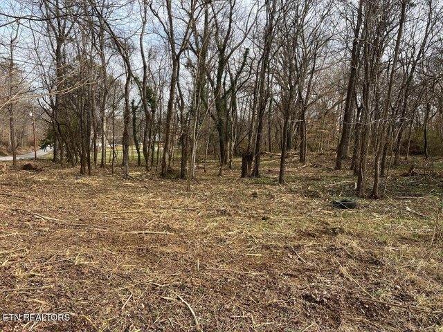 Land for sale in Tennessee