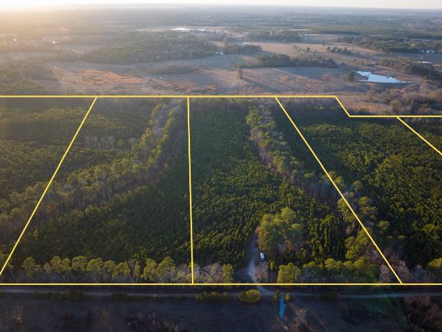 Land for sale in Annona, Texas