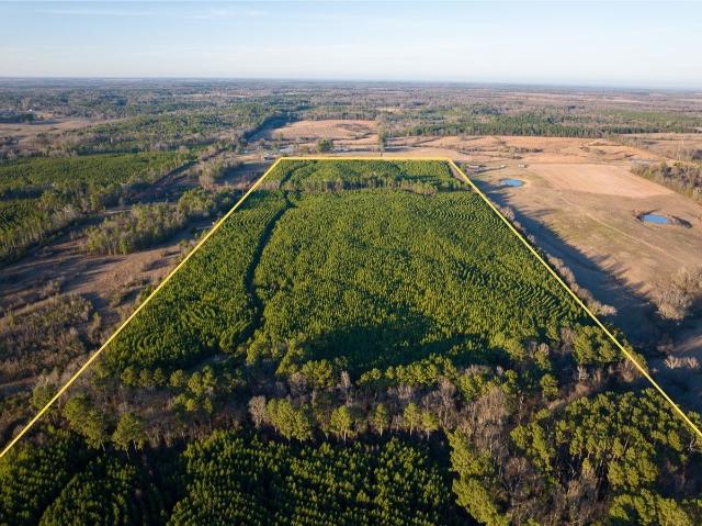 Land for sale in Annona, Texas