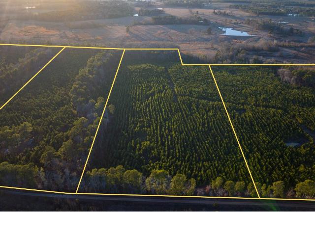 Land for sale in Annona, Texas