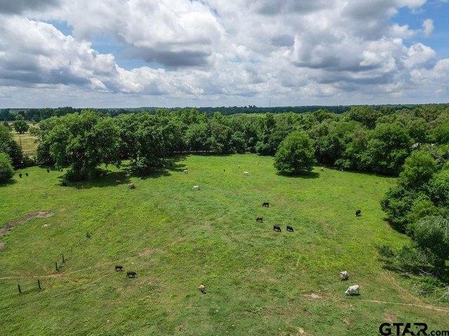 Land for sale in Titus, Texas