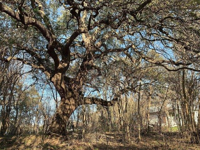 Land for sale in Austin, Texas