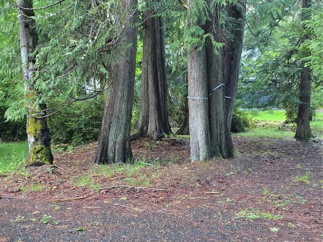 Land for sale in Shelton, Washington