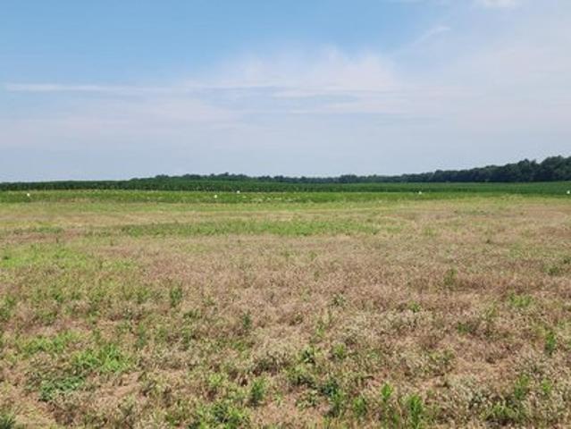 Land for sale in Church Hill, Maryland