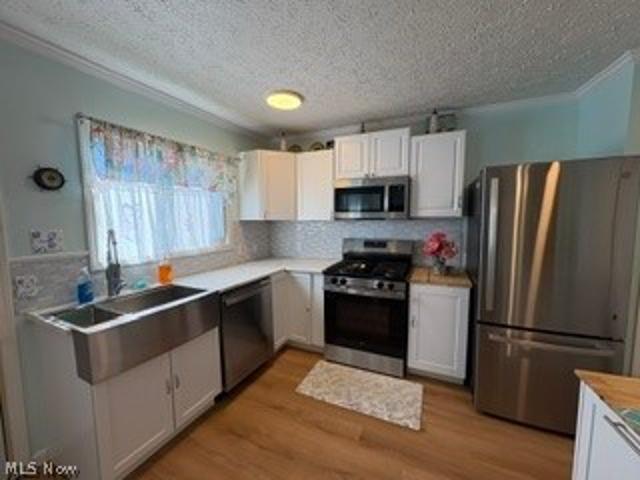 House for sale in Fairport Harbor, Lake County