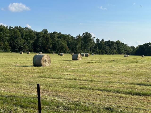 House for sale in Willow Springs, Howell County