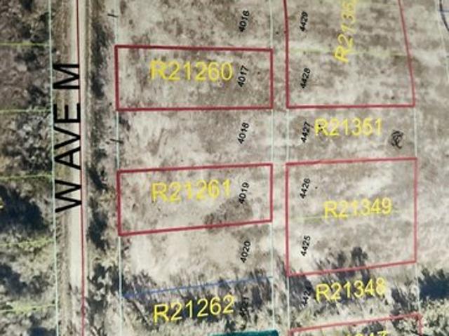 Land for sale in Christine, Texas