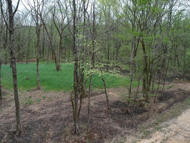 Farm for sale in Cherokee, Colbert County