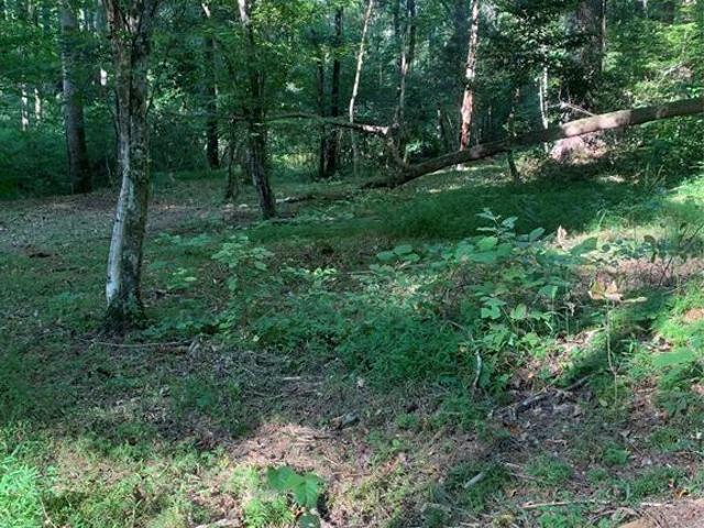 Land for sale in Connellys Springs, North Carolina