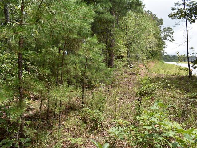 Land for sale in Walhalla, South Carolina
