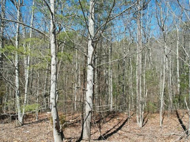 Land for sale in Tennessee