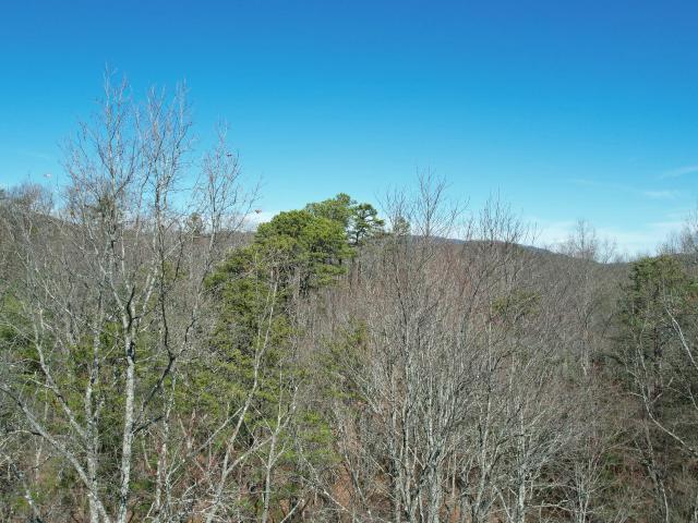 Land for sale in Tennessee