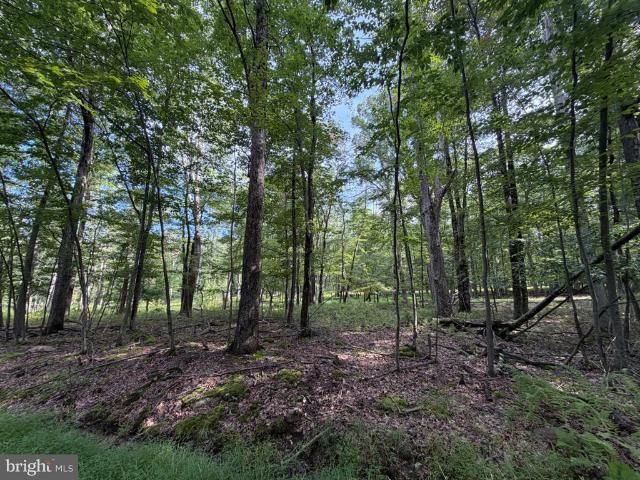 Land for sale in Zion Grove, Pennsylvania