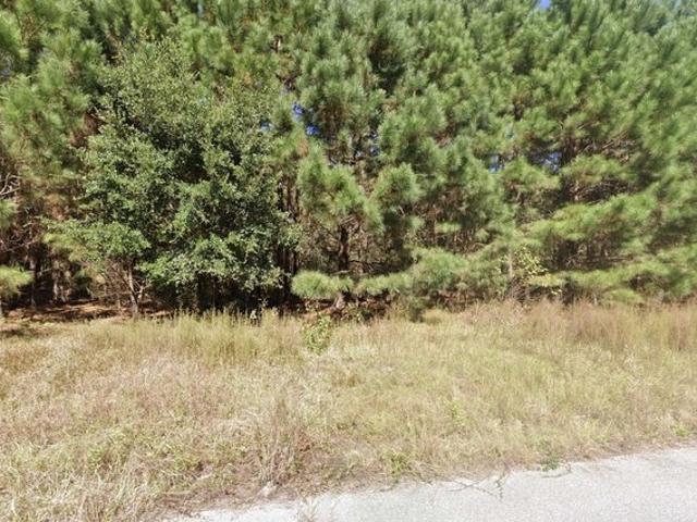 Land for sale in Johnsonville, South Carolina