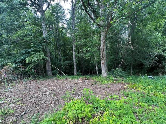 Land for sale in Belews Creek, North Carolina