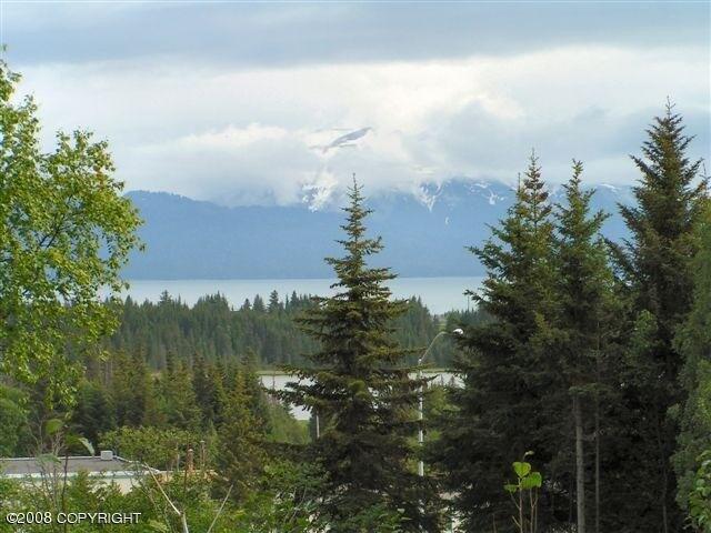 Land for sale in Homer