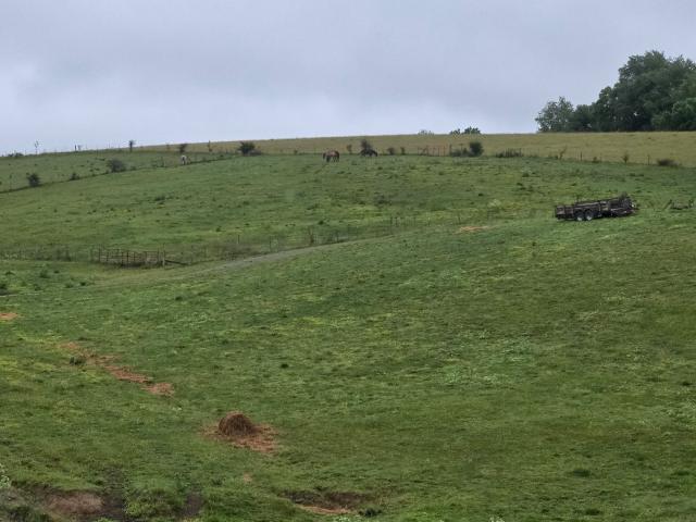 Farm for sale in Stanford, Kentucky