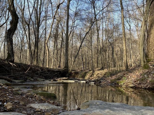 Land for sale in Tennessee