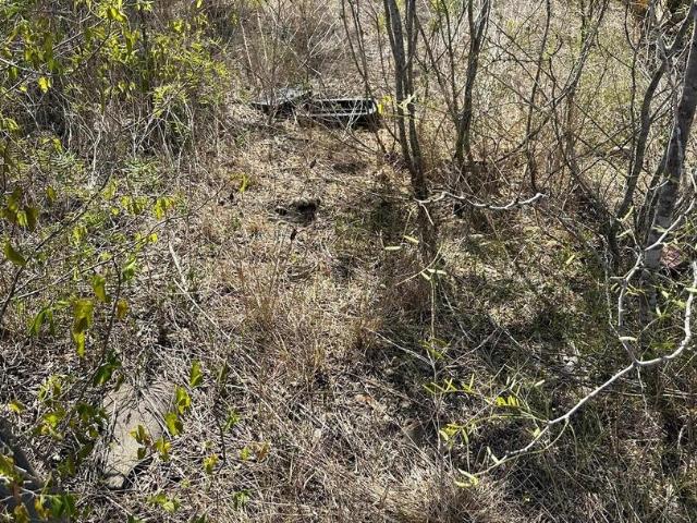 Land for sale in Saint Hedwig, Texas