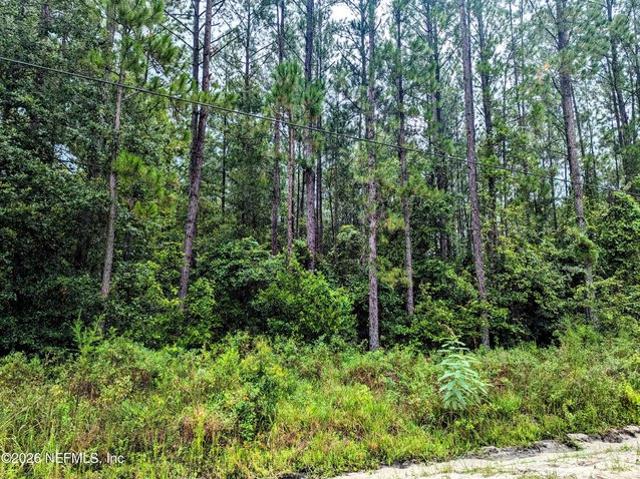 Land for sale in Keystone Heights, Florida