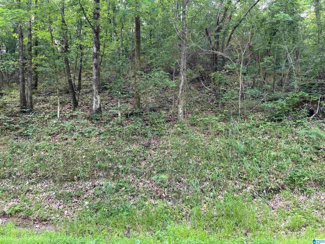 Land for sale in Gardendale, Alabama