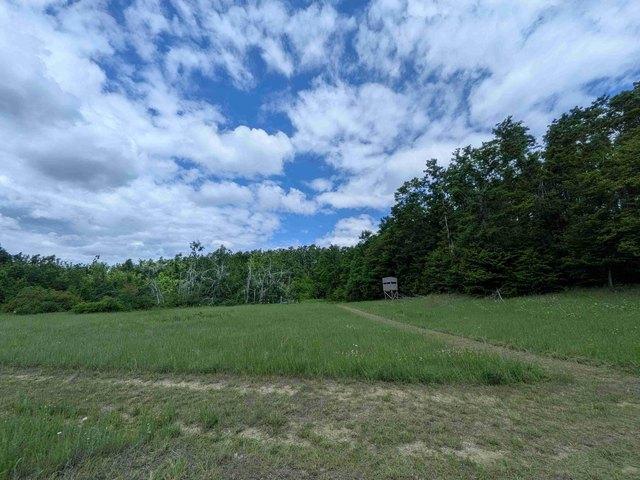 Land for sale in Boyne Falls, Michigan