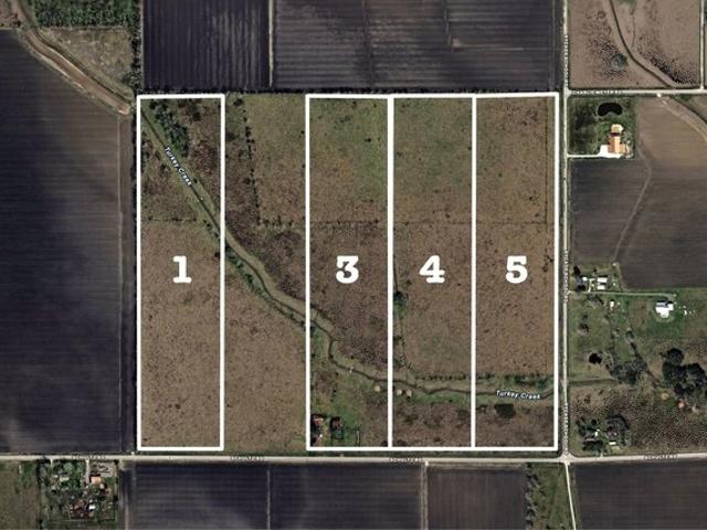 Land for sale in Damon, Texas