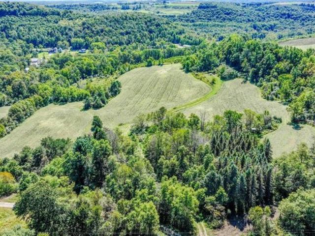 Land for sale in Carrolltown, Cambria County
