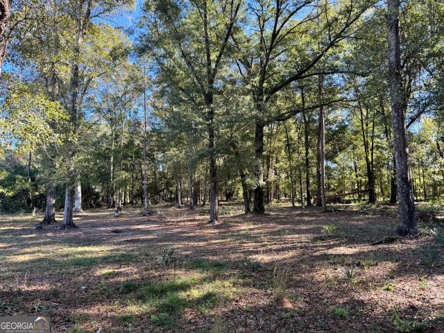 House for sale in Vienna, Georgia